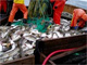 fishing haul